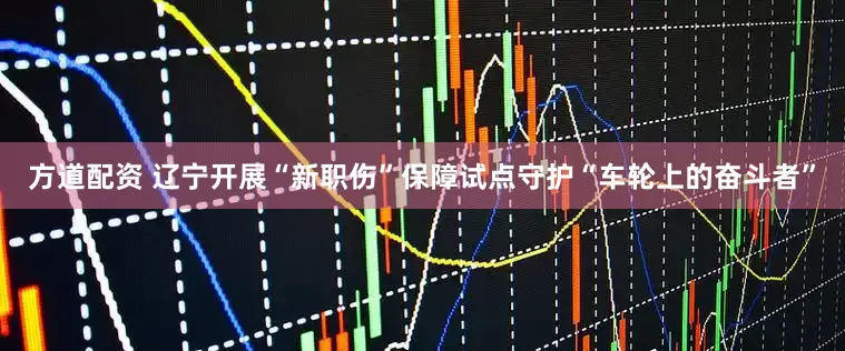 方道配资 辽宁开展“新职伤”保障试点守护“车轮上的奋斗者”