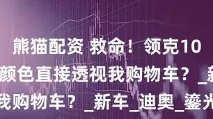 熊猫配资 救命！领克10EM-P这波颜色直接透视我购物车？_新车_迪奥_鎏光