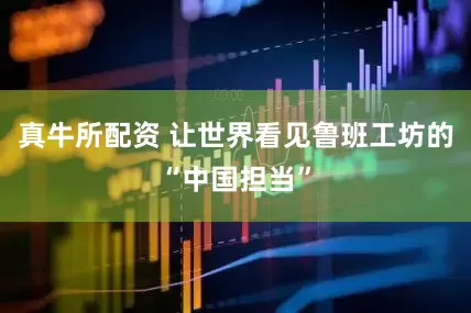 真牛所配资 让世界看见鲁班工坊的“中国担当”
